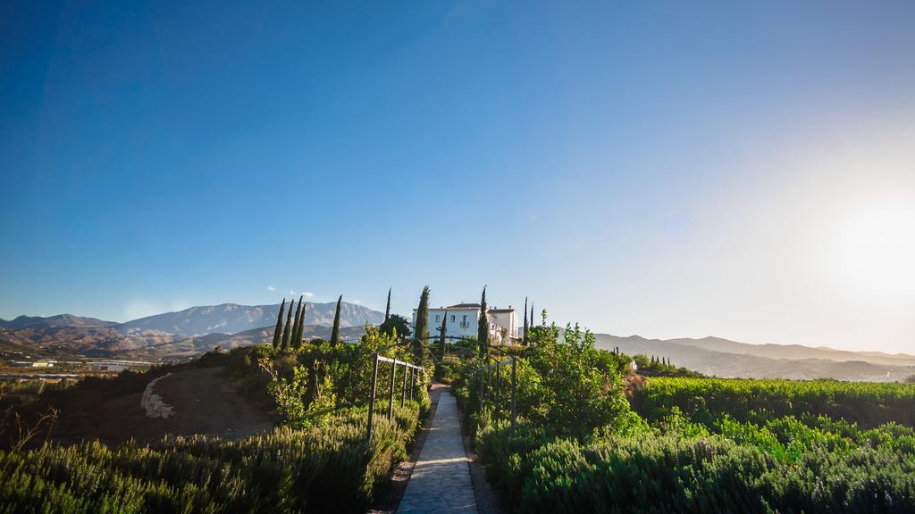 B Bou Hotel Cortijo Bravo ベレス エクステリア 写真